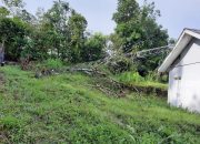 Tower Desa Teladan Roboh Ditimpah Kayu