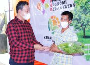 Beni Hernedi Dorong Urban Farming Untuk Muba Berdaulat Pangan