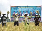 Sawah Lebak di Muba Bisa Panen Tiga Kali dalam Setahun
