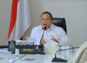Bupati Muba Jadi Narasumber Muba Environment Webinar Forum 2021