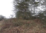 Gugatan Class Action Terhadap PT. Baturona Admulya Berakhir dengan Pencabutan Gugatan